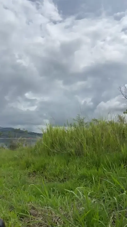 Orilla del Lago Calima entre pasto y montañas