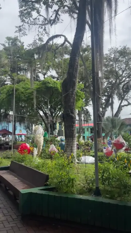 Plaza del pueblo con árboles y jardineras de colores
